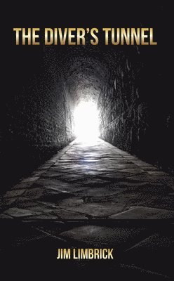 bokomslag Diver's Tunnel