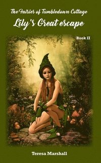 bokomslag The Fairies of Tumbledown Cottage 2: Lily's Great Escape