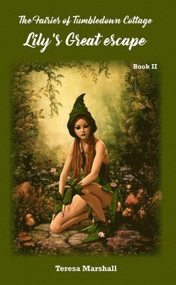 The Fairies of Tumbledown Cottage 2: Lily's Great Escape 1