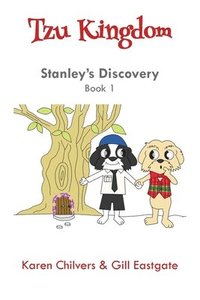 bokomslag Stanley's Discovery