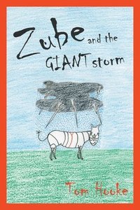 bokomslag Zube and the Giant Storm