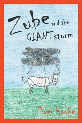 Zube and the Giant Storm 1