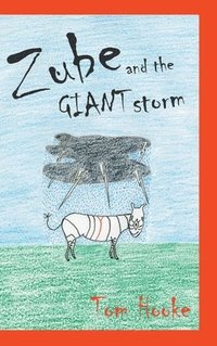 bokomslag Zube and the Giant Storm