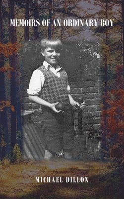 bokomslag Memoirs Of An Ordinary Boy