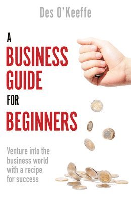 bokomslag Business Guide for Beginners