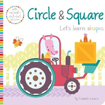 Circle & Square 1