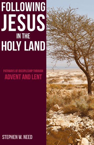 Stephen Need - Following Jesus in the Holy Land, Häftad