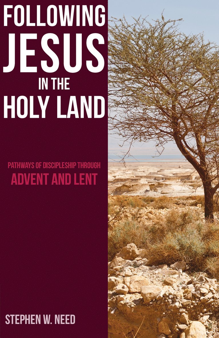 Stephen Need - Following Jesus in the Holy Land, Häftad