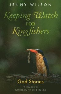 bokomslag Keeping Watch for Kingfishers