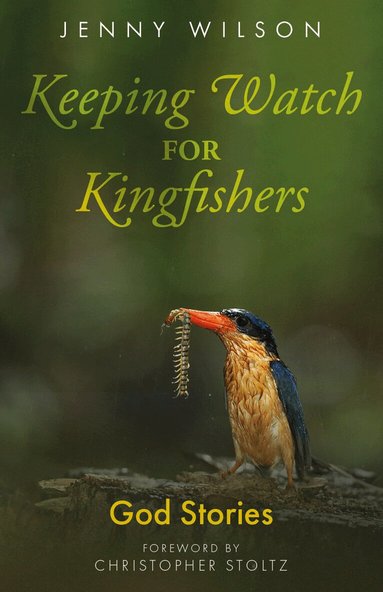 Jenny Wilson - Keeping Watch for Kingfishers, Häftad