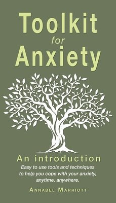 bokomslag Toolkit for anxiety