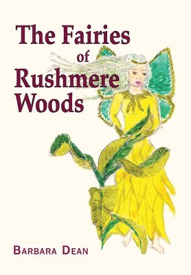 bokomslag Fairies of Rushmere Woods