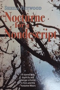 bokomslag Nocturne For a Nondescript