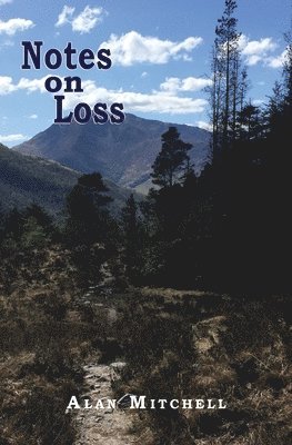 Alan Mitchell - Notes on Loss, Häftad