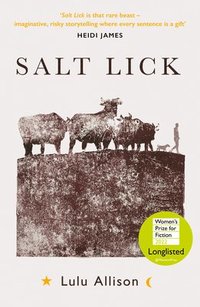 bokomslag Salt Lick