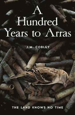 Jason Cobley - Hundred Years to Arras, Häftad