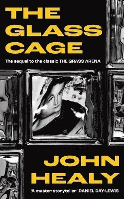 bokomslag Glass Cage