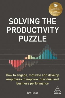 Tim Ringo - Solving the Productivity Puzzle, Häftad