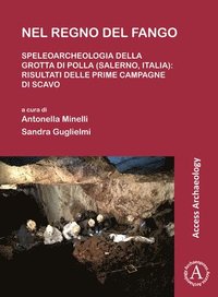 bokomslag Nel regno del fango: speleoarcheologia della Grotta di Polla (Salerno, Italia)