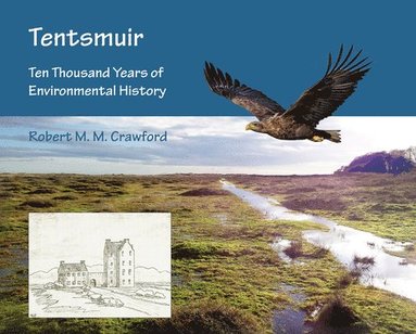 bokomslag Tentsmuir: Ten Thousand Years of Environmental History