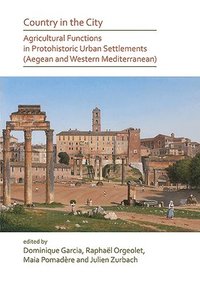 bokomslag Country in the City: Agricultural Functions of Protohistoric Urban Settlements (Aegean and Western Mediterranean)