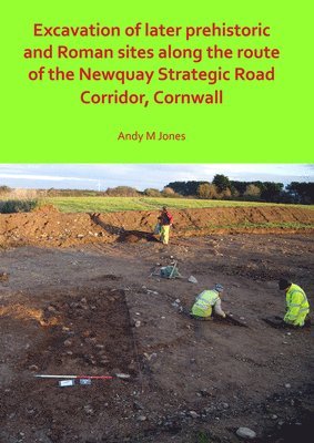 bokomslag Excavation of Later Prehistoric and Roman Sites along the Route of the Newquay Strategic Road Corridor, Cornwall