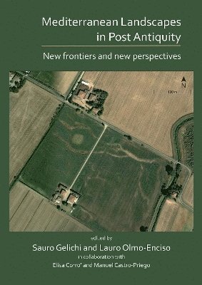 Sauro Gelichi, Lauro Olmo-Enciso - Mediterranean Landscapes in Post Antiquity, Häftad. Tillgänglighet: Lägg i varukorg
