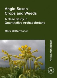 bokomslag Anglo-Saxon Crops and Weeds: A Case Study in Quantitative Archaeobotany