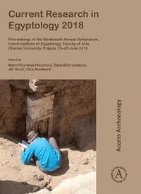 bokomslag Current Research in Egyptology 2018