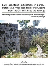 bokomslag Late Prehistoric Fortifications in Europe: Defensive, Symbolic and Territorial Aspects from the Chalcolithic to the Iron Age