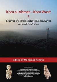bokomslag Kom al-Ahmer  Kom Wasit I: Excavations in the Metelite Nome, Egypt