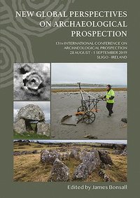 bokomslag New Global Perspectives on Archaeological Prospection