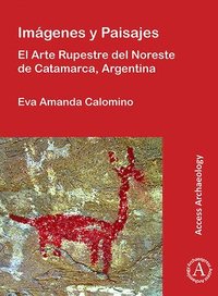 bokomslag Imgenes y Paisajes: El Arte Rupestre del Noreste de Catamarca, Argentina
