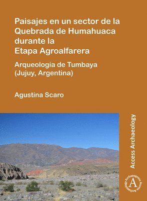 bokomslag Paisajes en un sector de la Quebrada de Humahuaca durante la Etapa Agroalfarera