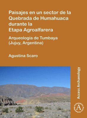 bokomslag Paisajes en un sector de la Quebrada de Humahuaca durante la Etapa Agroalfarera