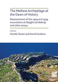 bokomslag Maltese Archipelago at the Dawn of History