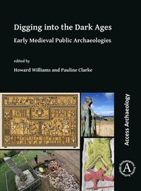 bokomslag Digging into the Dark Ages