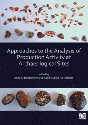 Anna K. Hodgkinson, Cecilie Lelek Tvetmarken - Approaches to the Analysis of Production Activity at Archaeological Sites, Häftad