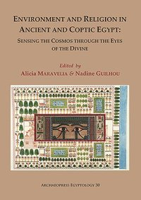 bokomslag Environment and Religion in Ancient and Coptic Egypt: Sensing the Cosmos through the Eyes of the Divine