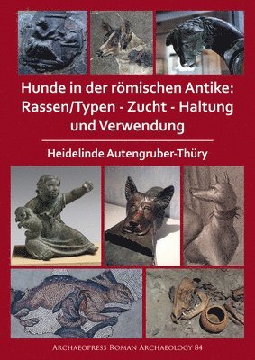 bokomslag Hunde in der römischen Antike: Rassen/Typen - Zucht - Haltung und Verwendung