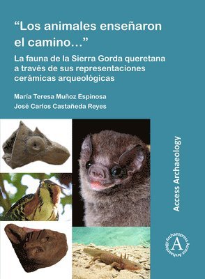 bokomslag Los animales ensearon el camino: La fauna de la Sierra Gorda queretana a travs de sus representaciones cermicas arqueolgicas