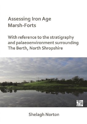 bokomslag Assessing Iron Age Marsh-Forts