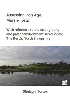 Assessing Iron Age Marsh-Forts 1