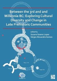 bokomslag Between the 3rd and 2nd Millennia BC: Exploring Cultural Diversity and Change in Late Prehistoric Communities