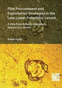 bokomslag Flint Procurement and Exploitation Strategies in the Late Lower Paleolithic Levant