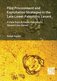 bokomslag Flint Procurement and Exploitation Strategies in the Late Lower Paleolithic Levant