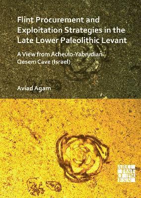 Flint Procurement and Exploitation Strategies in the Late Lower Paleolithic Levant 1