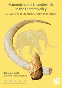 bokomslag Mammoths and Neanderthals in the Thames Valley