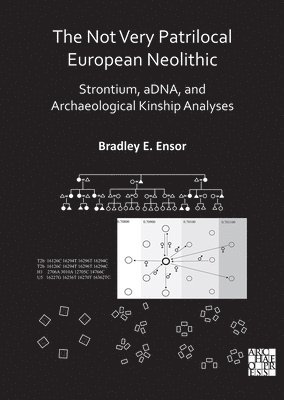 bokomslag Not Very Patrilocal European Neolithic