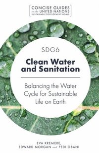bokomslag SDG6 - Clean Water and Sanitation